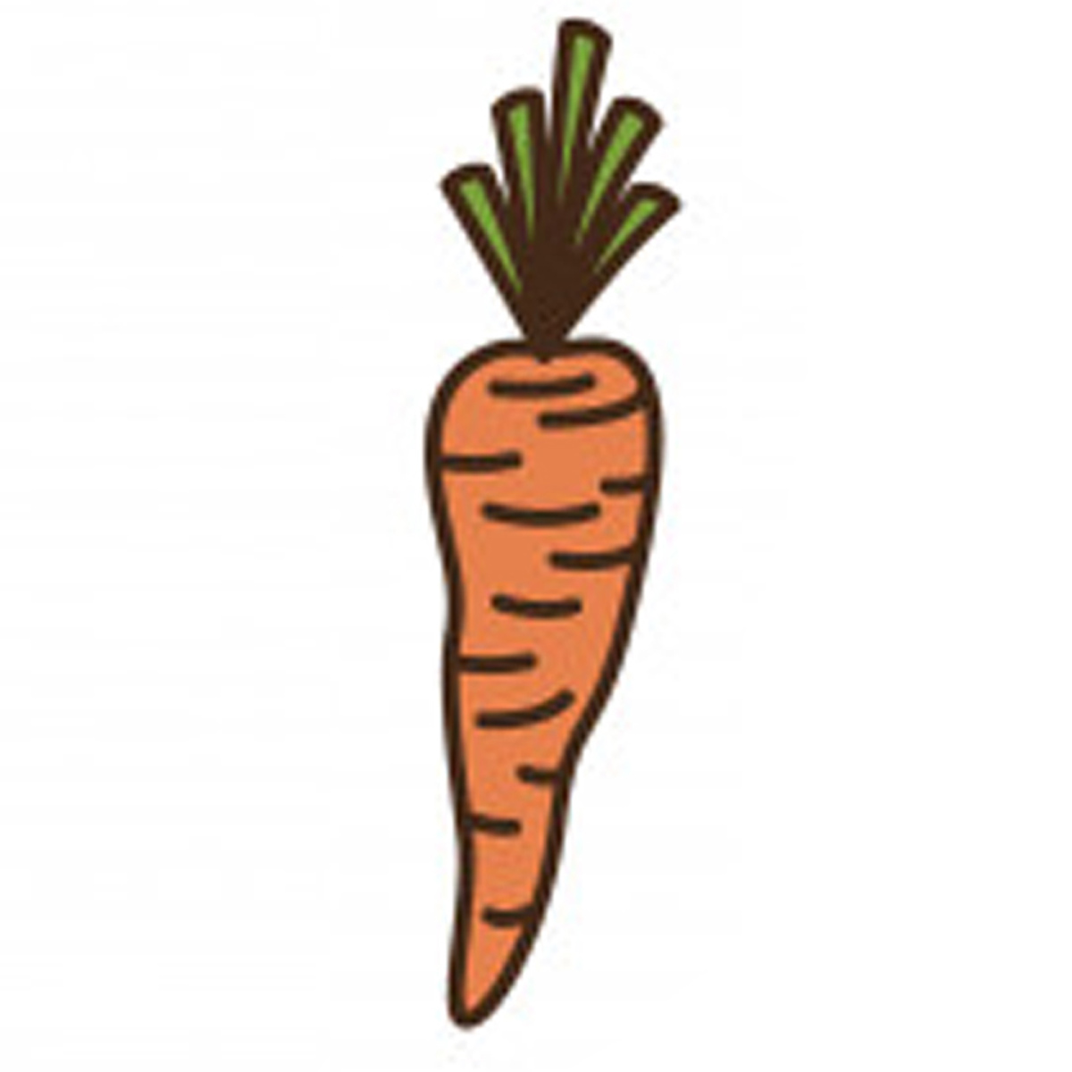 carrot